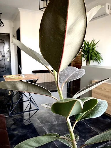 دکتر وطن دوست