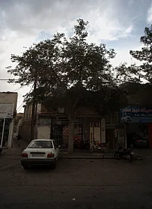 خدمات فنی