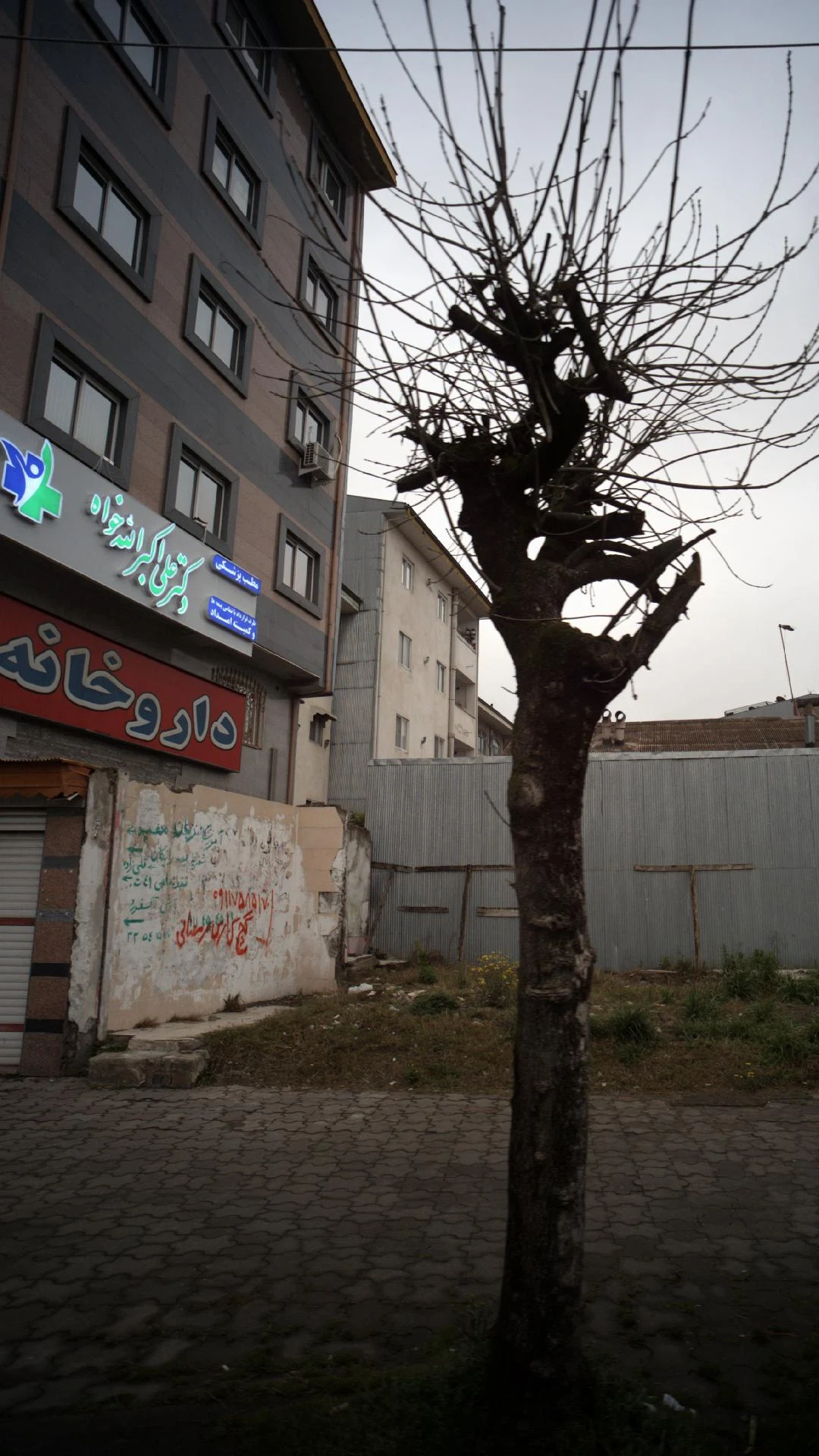 دکتر علی اکبر الله خواه