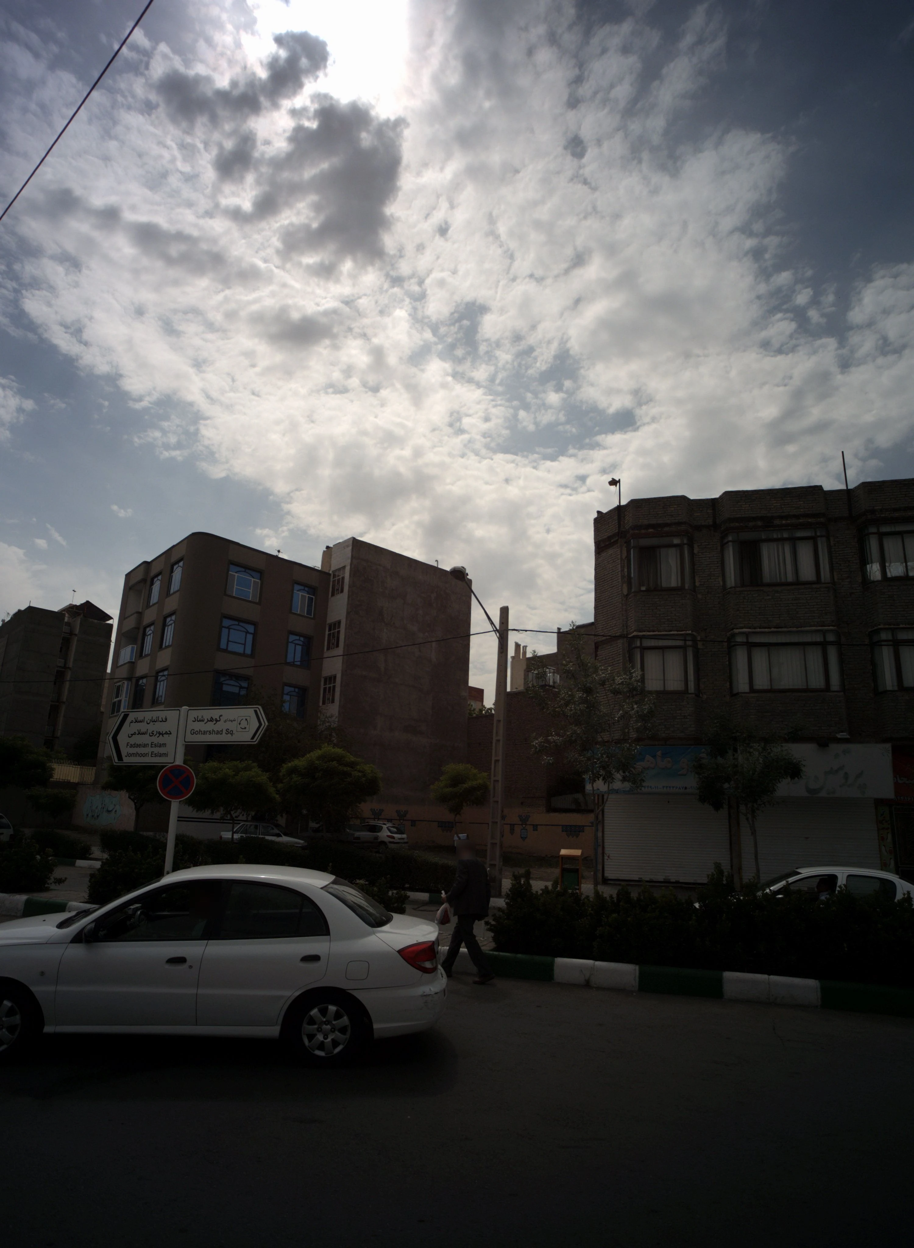 سوپر پروتئین - گوشت، مرغ و پروتئینی در مشهد