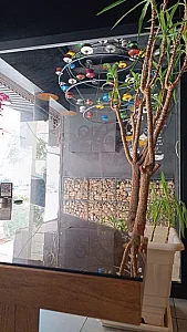 کافه نگرو