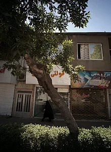 فروشگاه پروتئینی پرند 313