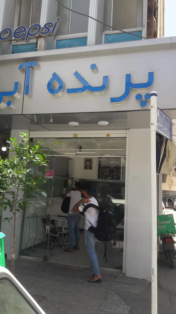 پرنده آبی شعبه فلسطین - تصویر 3