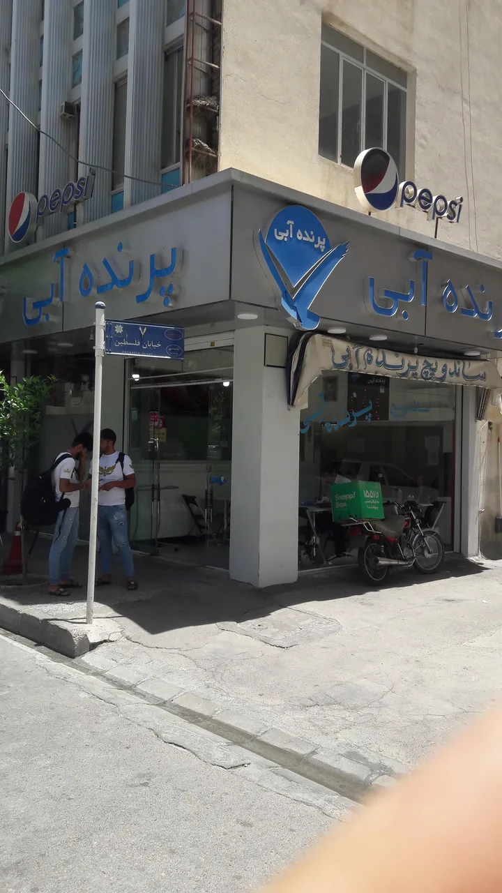 پرنده آبی شعبه فلسطین - تصویر 6