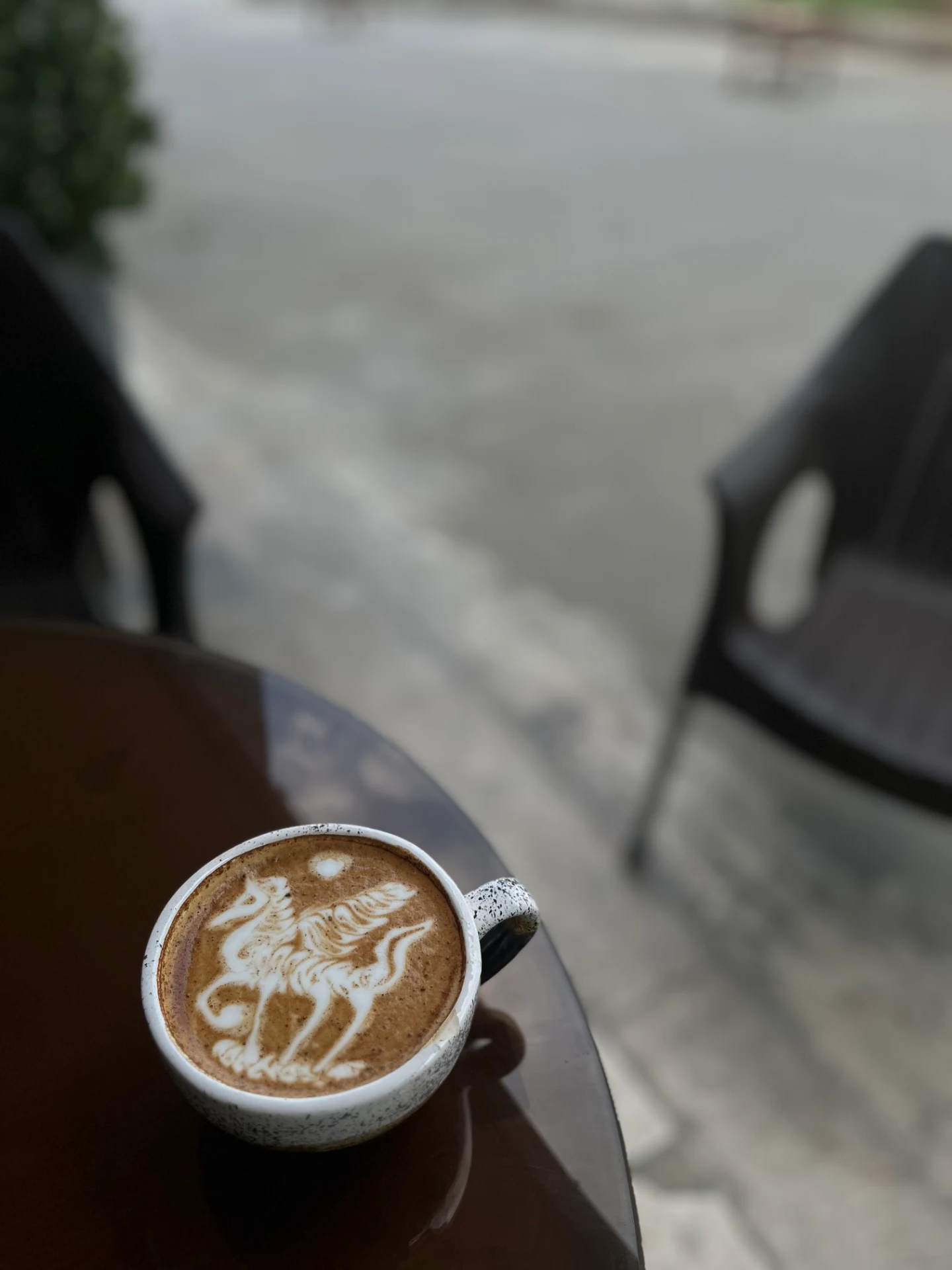 کافه کایوت - تصویر 6