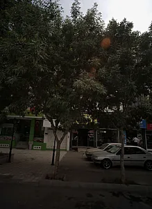 آژانس مهدی