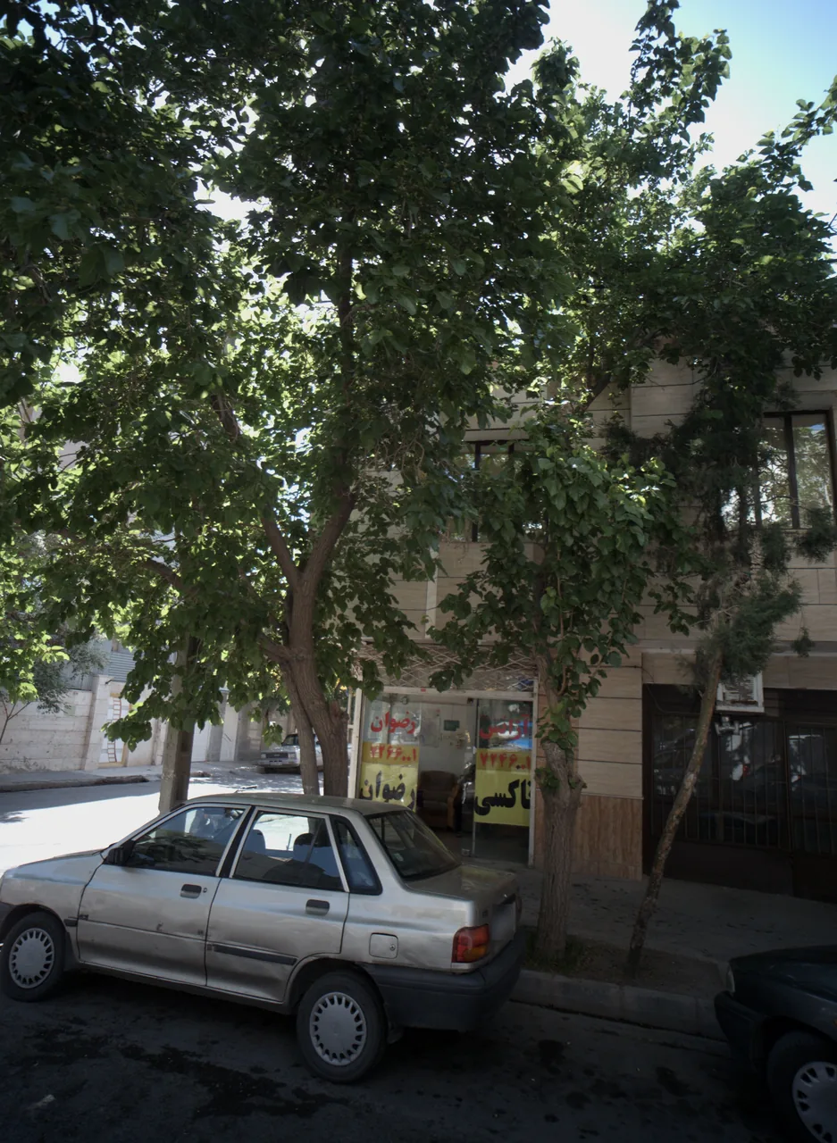 تاکسی رضوان