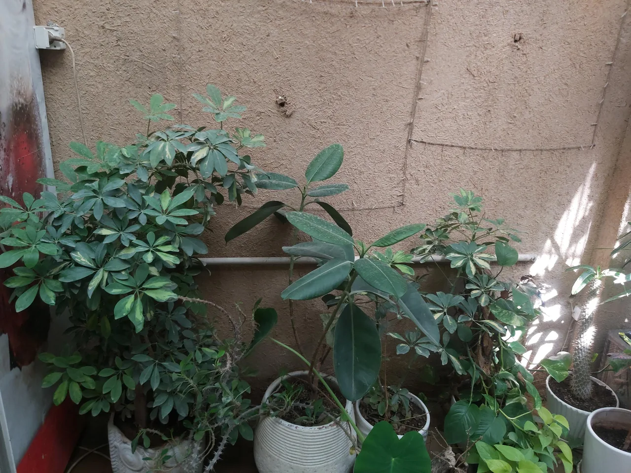 چای سرای سنتی کاه گل - تصویر 2