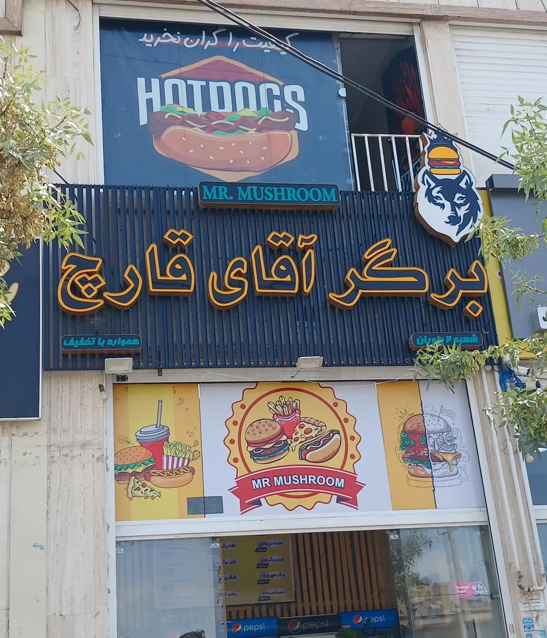 آقای قارچ شعبه یاوران