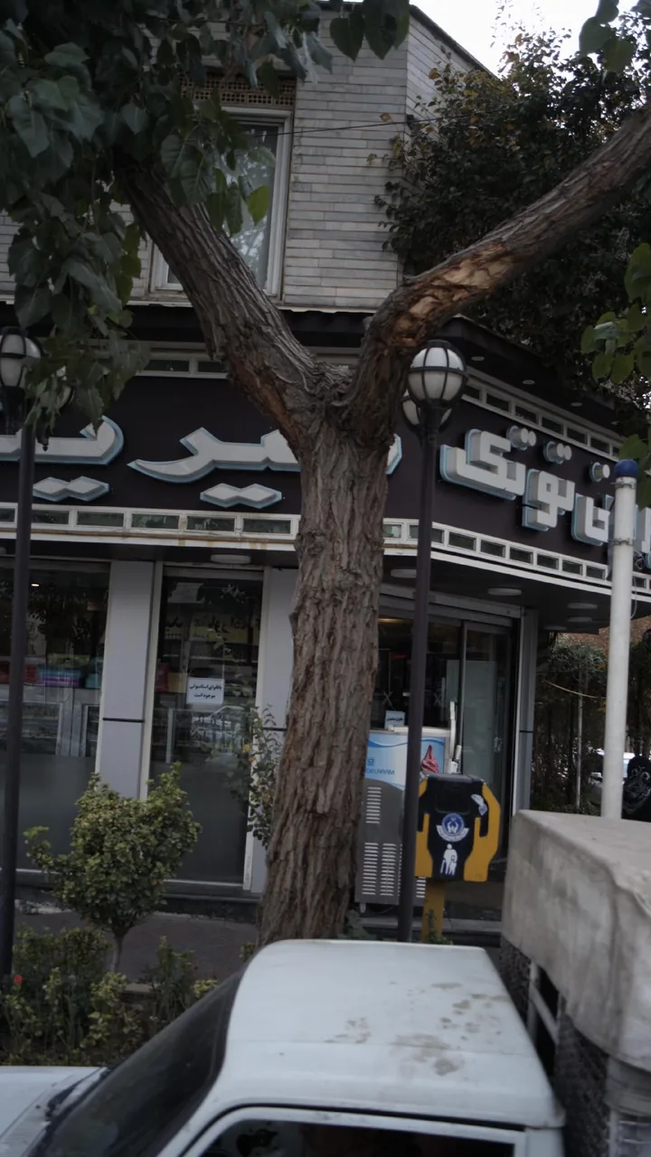 شیرینی توتک
