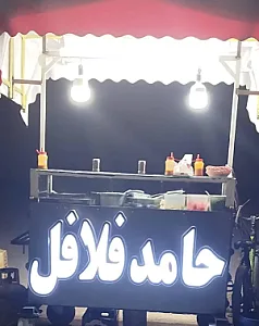 حامد فلافل