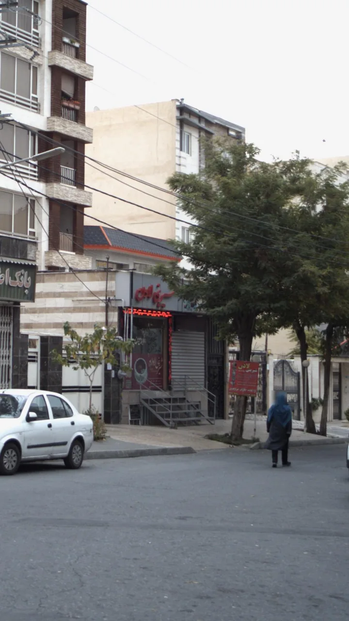 شیرینی لادن