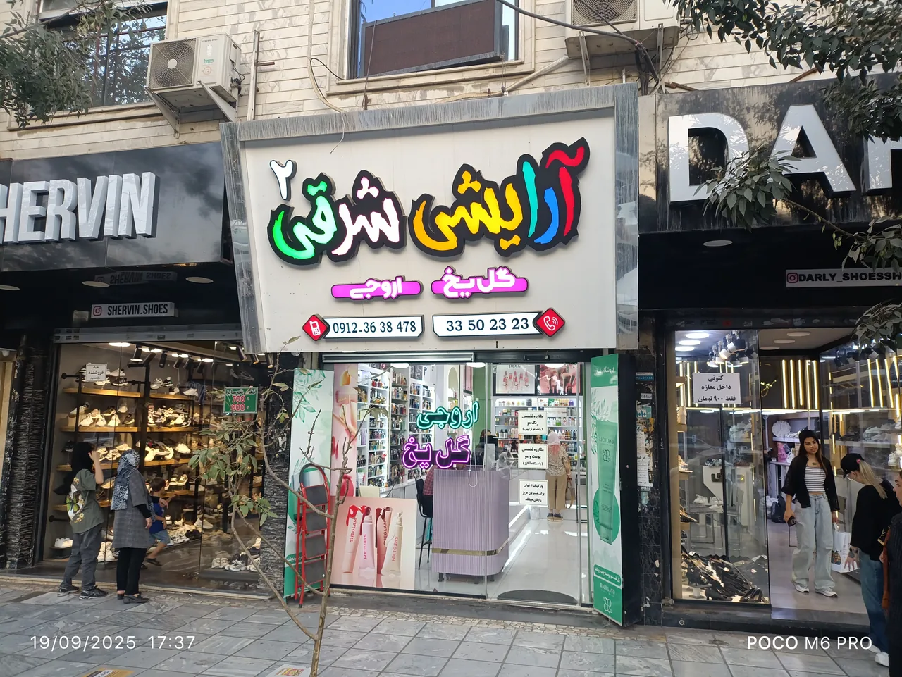 گل یخ - تصویر 2