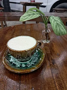 کافه کاج
