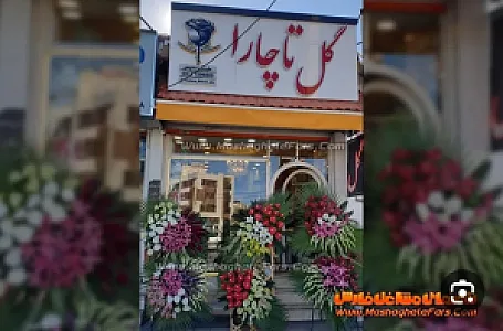 گل تاچارا
