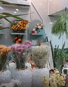 گالری زرگل
