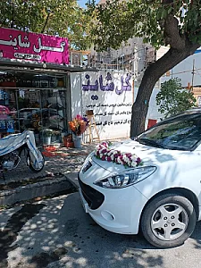 گلفروشی شاینا