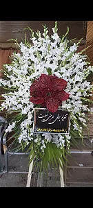 گل امین