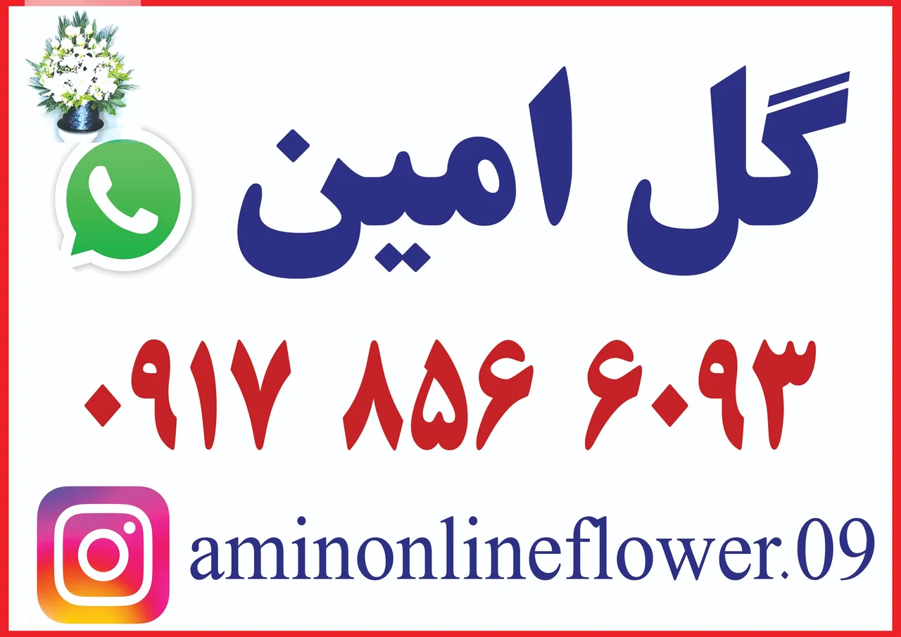 گل امین - تصویر 4