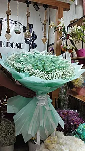 گل میخک شیراز
