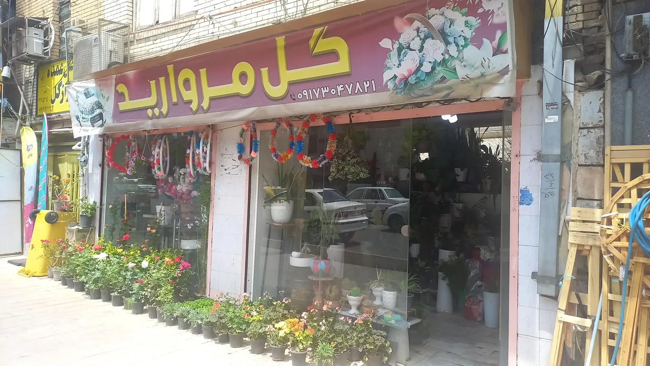 گل فروشی مروارید - تصویر 6