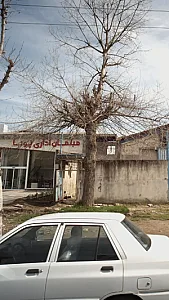 مبلمان اداری پویا