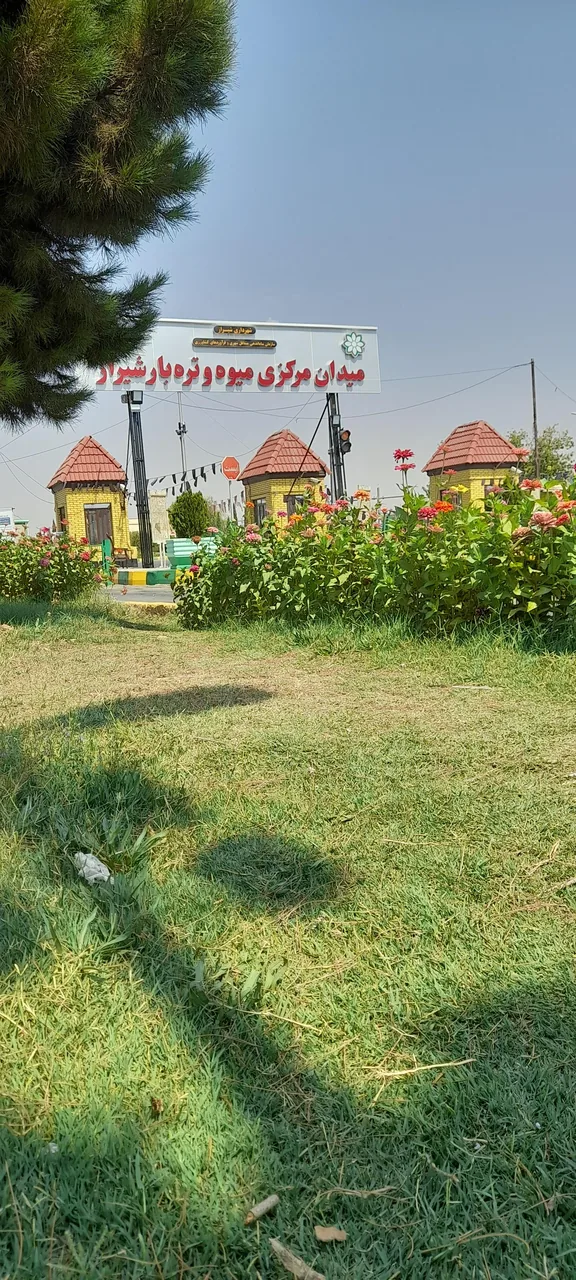 میدان تره بار شیراز - تصویر 4