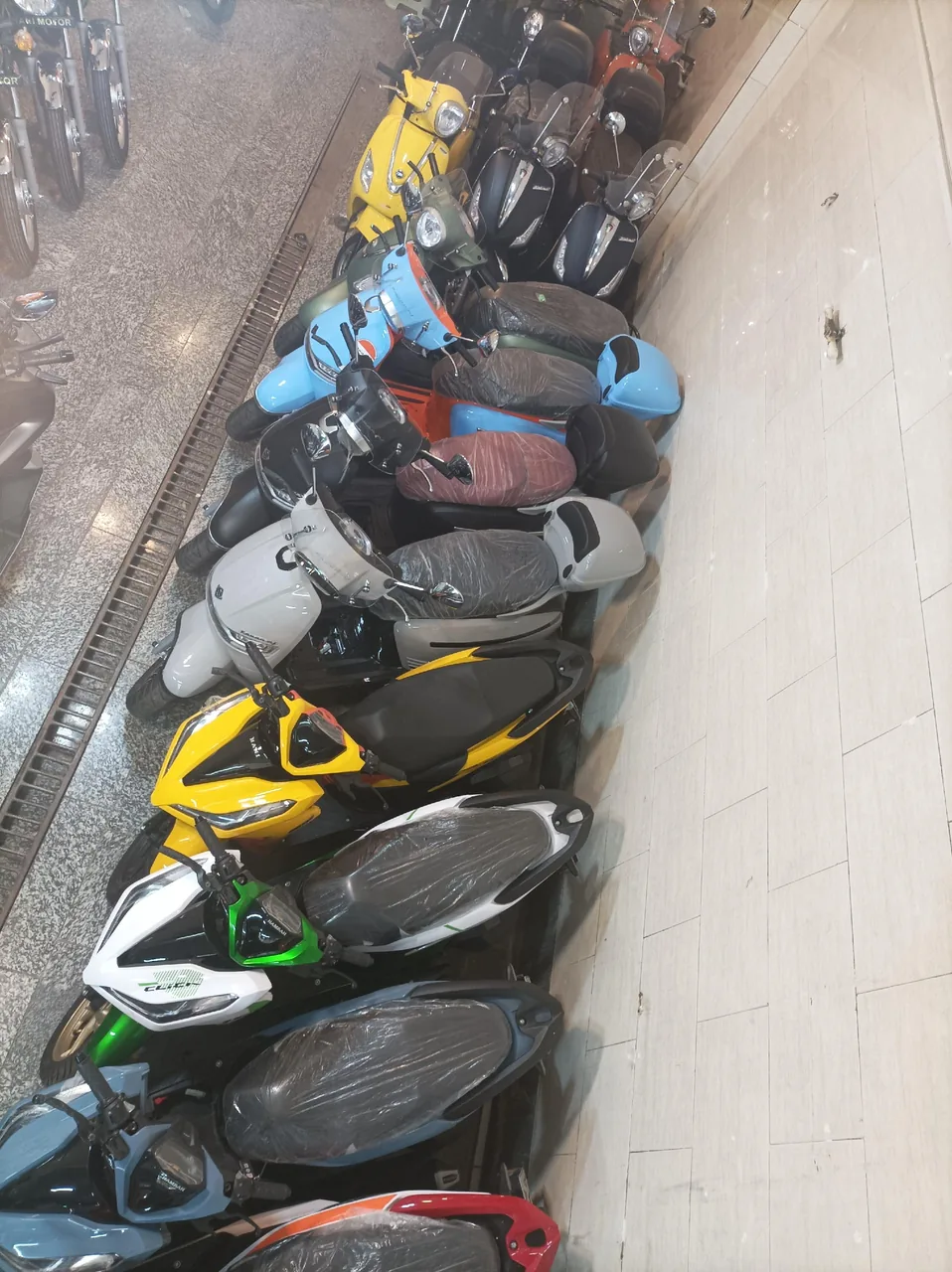 نمایشگاه کراس موتور شعبه 2 - تصویر 2
