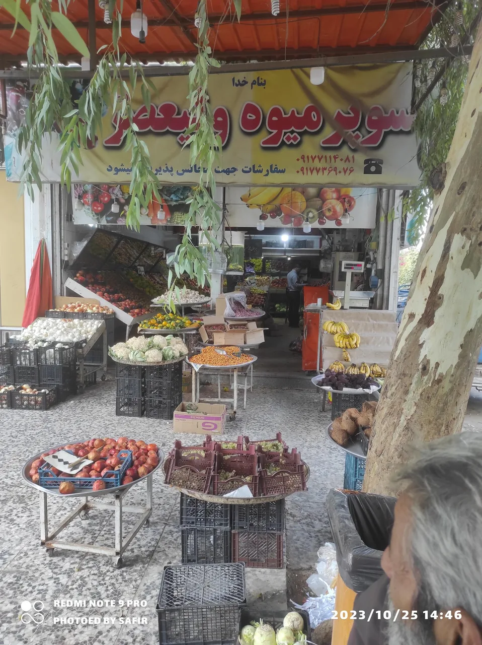 میوه فروشی ولیعصر (نبی زاده و زارع)