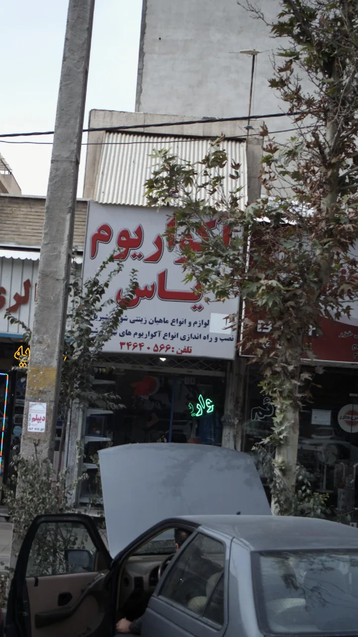 آکواریوم یاس