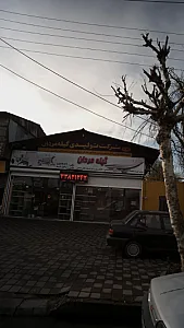 شرکت تولیدی گیله مردان