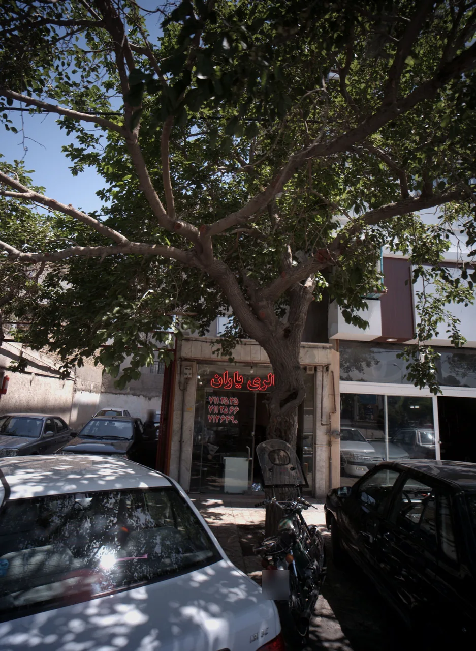 اتو گالری یاران