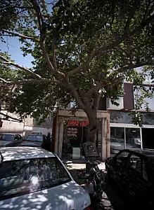 اتو گالری یاران