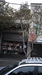 ارزانسرای مهدی