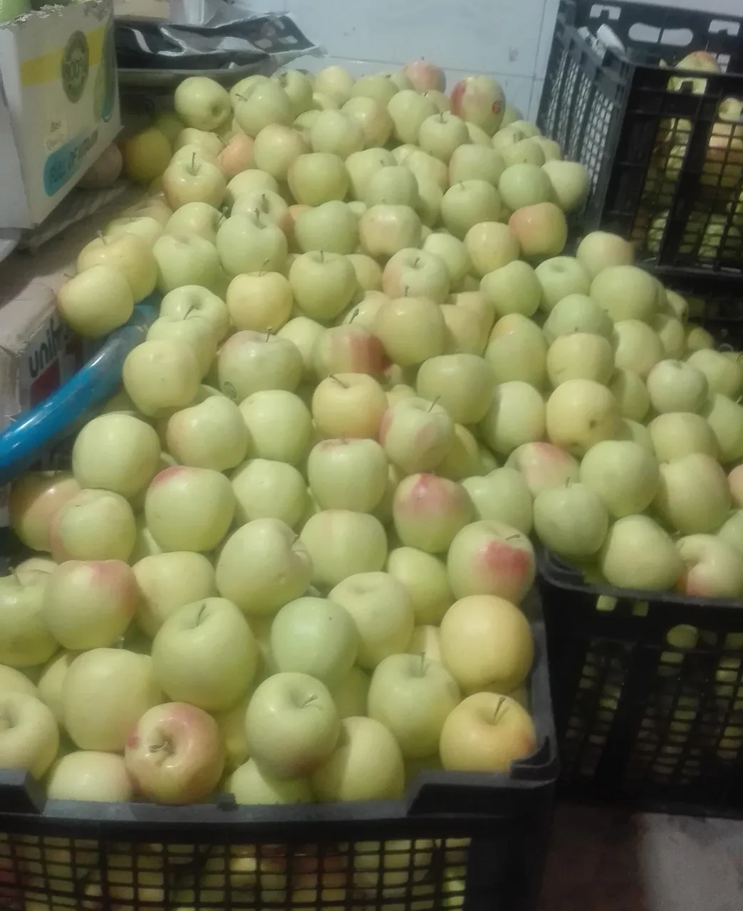 میوه فروشی امیر و پسران - تصویر 3