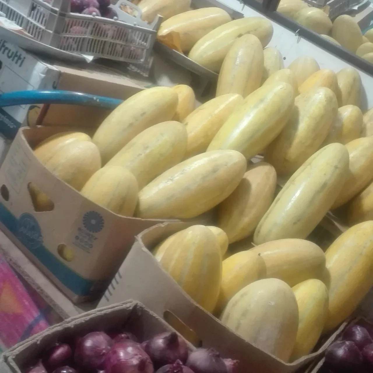 میوه فروشی امیر و پسران - تصویر 4