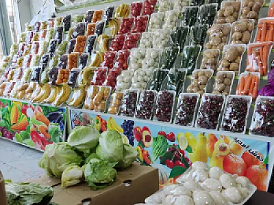 میوه سرای معروف