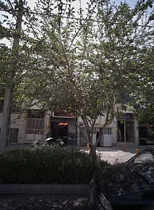 نمایشگاه اتومبیل عدل