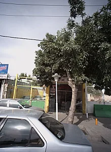 اتومبیل مصطفی