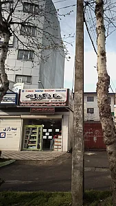 مادگیل نوین