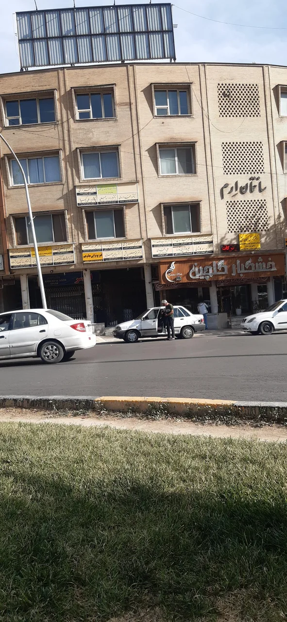 دکتر سید حسین عصایی