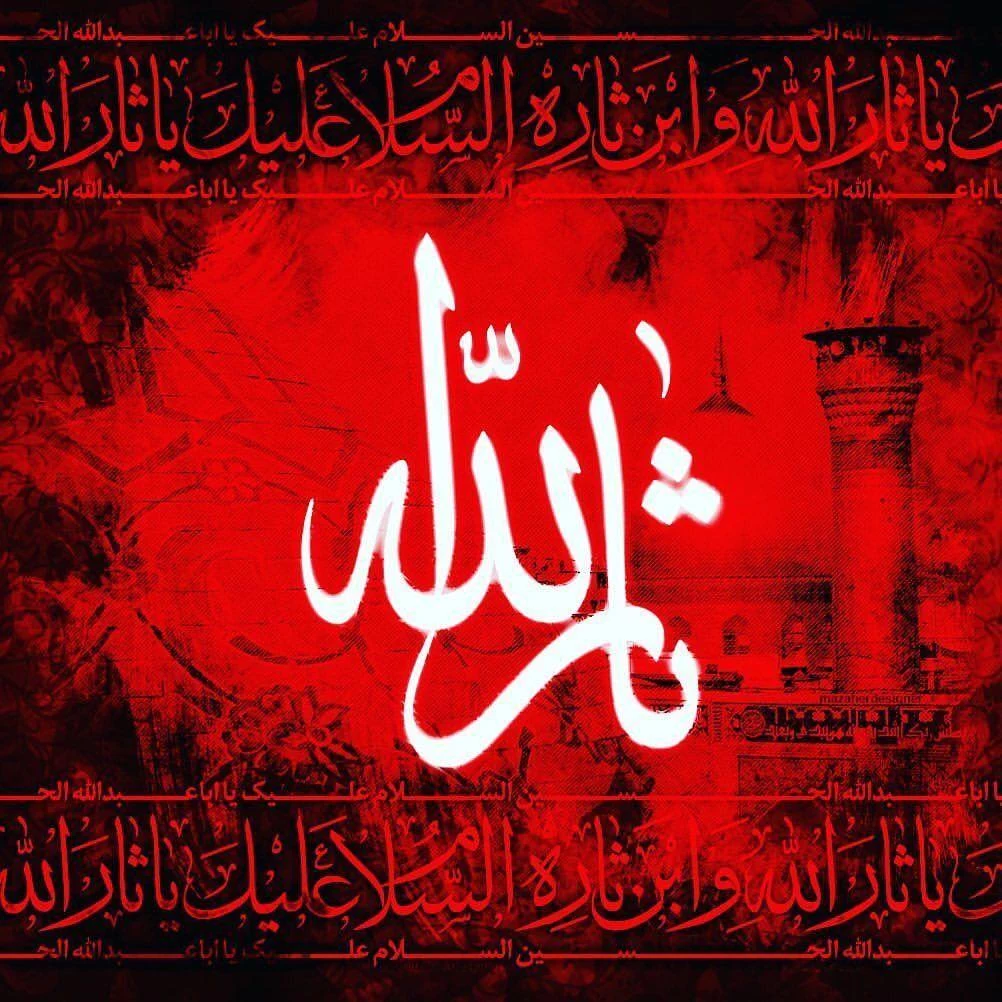 مطب دکترهدایت اکبری - تصویر 3