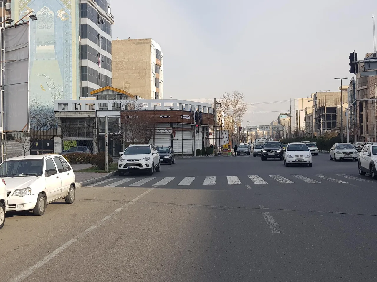 فروشگاه اسنوا درختی - تصویر 4