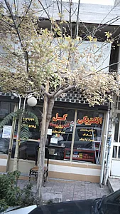 الکتریکی گل