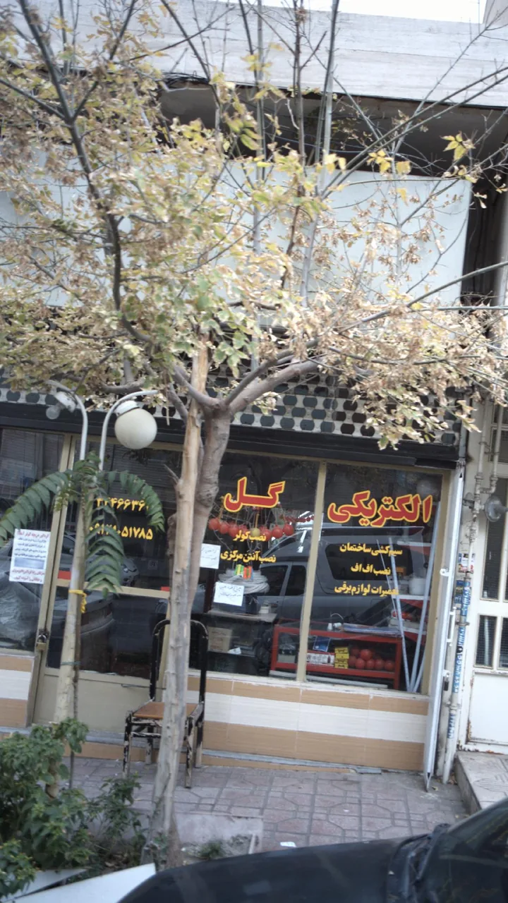 الکتریکی گل