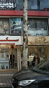 رز گلد