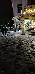 بدلیجات رشت گالری فرشید
