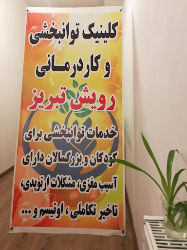 کلینیک توانبخشی و کاردرمانی رویش تبریز - تصویر 4