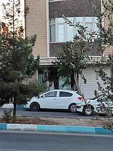 الکتریکی برادران