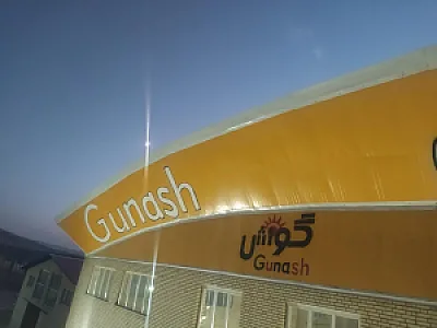 گروه صنعتی گونش